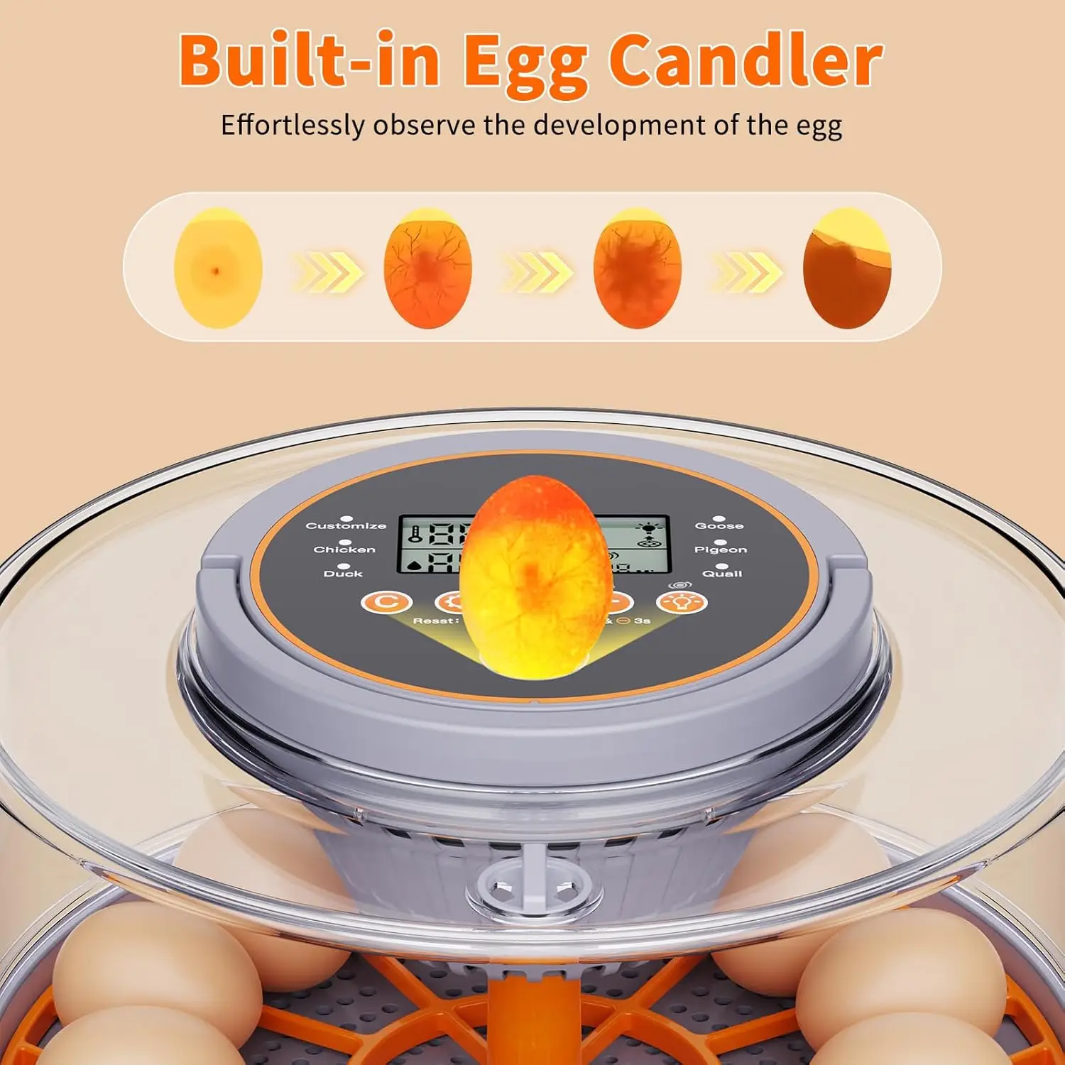 Incubadora de huevos con giro automático y control de humedad - imagen 3