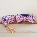 Bow Tie Collar Leash