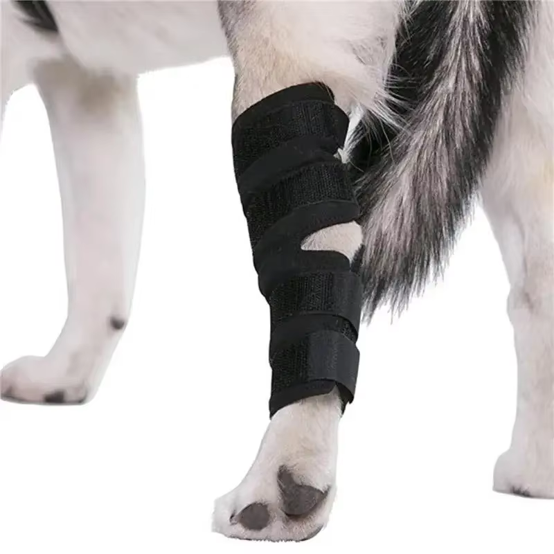 Soporte de rodilla para perros y gatos – Recuperación articular - imagen 3
