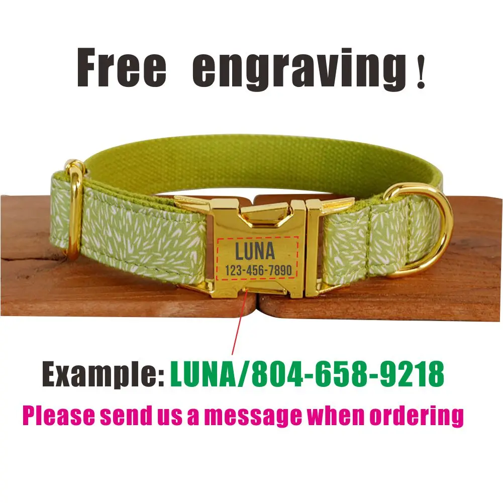 Collar de perro personalizado con grabado gratuito, correa para mascotas a juego, hebilla de Metal de contactos personalizados, Collar para mascotas de pino verde - imagen 4