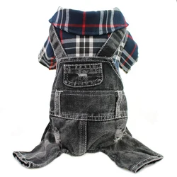 Mono vaquero negro para perros pequeños Yorkshire Terrier – Primavera