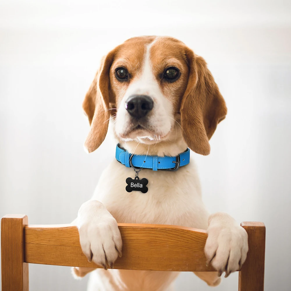 Weich gepolstertes Hundehalsband aus PU-Leder, verstellbar für kleine, mittelgroße und große Hunde, Beagle-Halsband, Pitbull, Bulldogge, Chihuahua - imagen 5