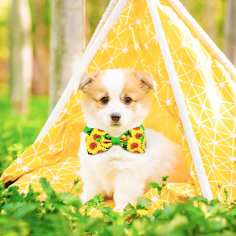 Pajaritas para Perros y Gatos - imagen 3