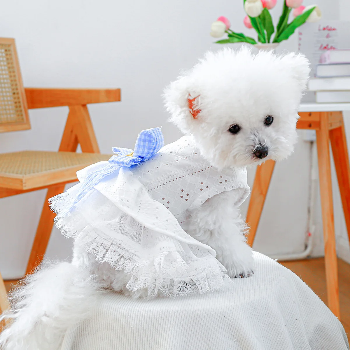 Vestido de encaje de primavera para mascotas, ropa calada para perros, bonito lazo a cuadros, falda esponjosa, vestidos para perros pequeños, ropa para cachorros - imagen 2