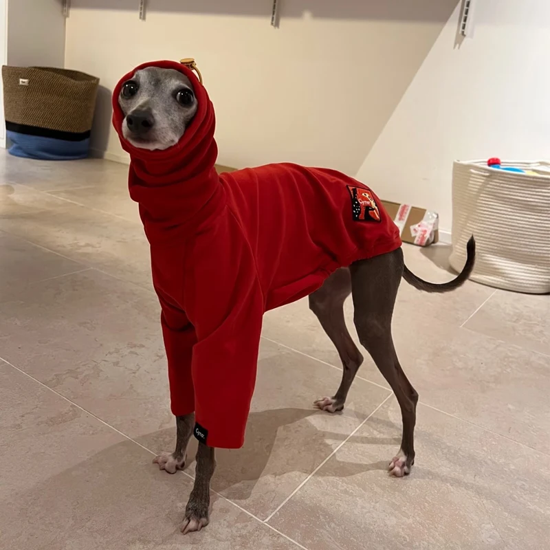Camiseta roja de primavera y otoño para galgo italiano, abrigo suave de moda navideña de 2 patas para ropa de perro Whipbit, ropa de descanso de cuello alto - imagen 2