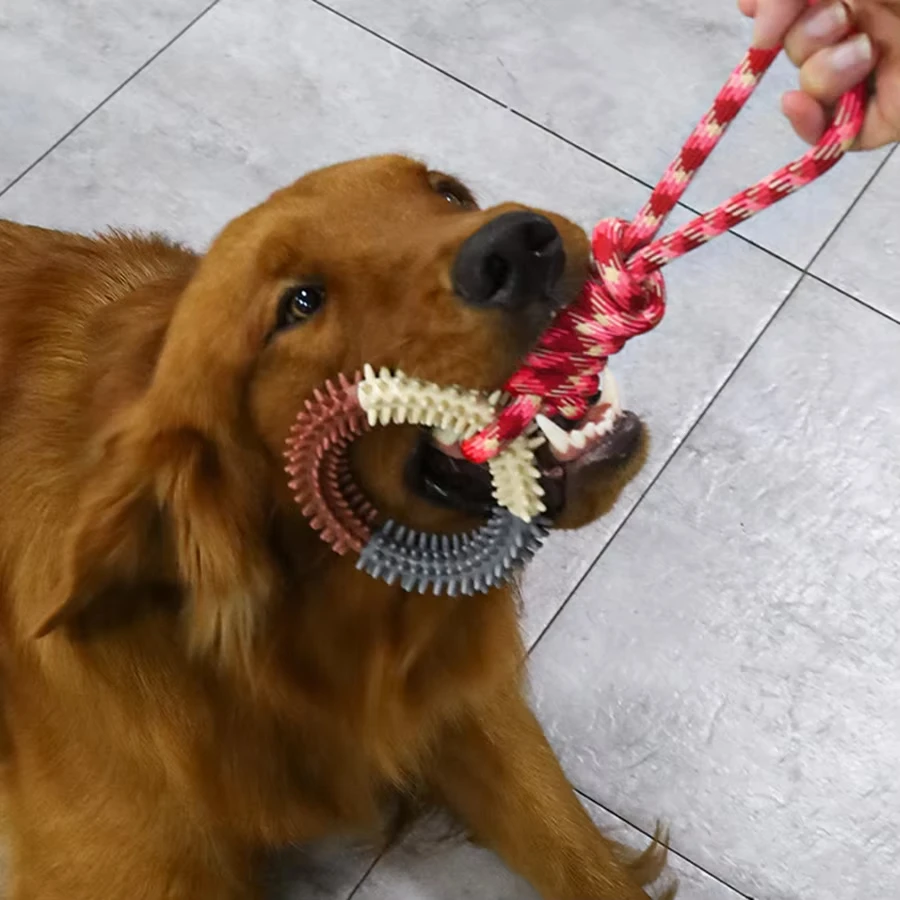 Juguete para perros, juguete para moler dientes de perro, cuerda de algodón antimordeduras, juguete para mascotas con nudo tejido colorido, juguete de entrenamiento interactivo para perros, suministros para mascotas