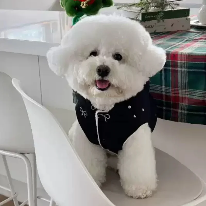 Chaqueta de plumón cálida para perro, ropa con estampado de lazo para perro, chaleco suave y bonito para cachorro, chaqueta de gato a la moda, abrigo, disfraz de caniche, suministros para mascotas - imagen 4