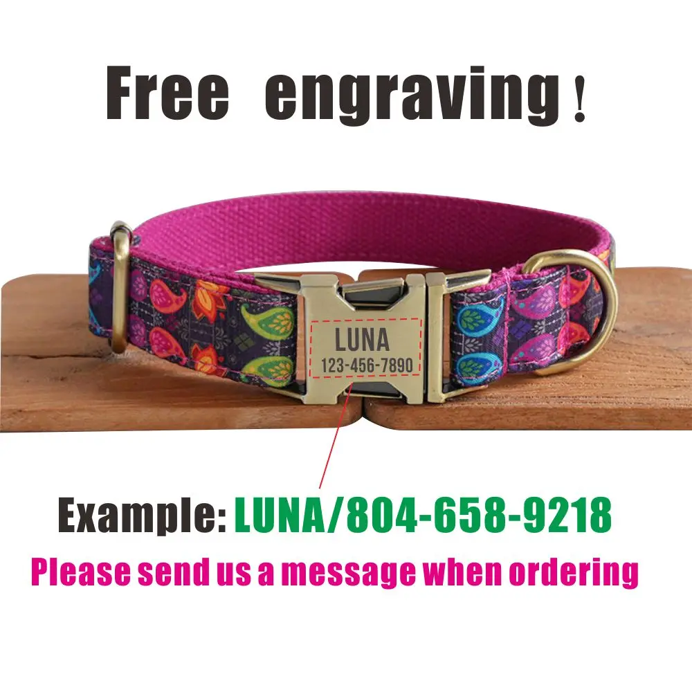 Personalized Dog Collar with Free Engraving, Matching Pet Leash,Customzied Contacts Metal Buckle,Neon Water Realm Collar - imagen 4