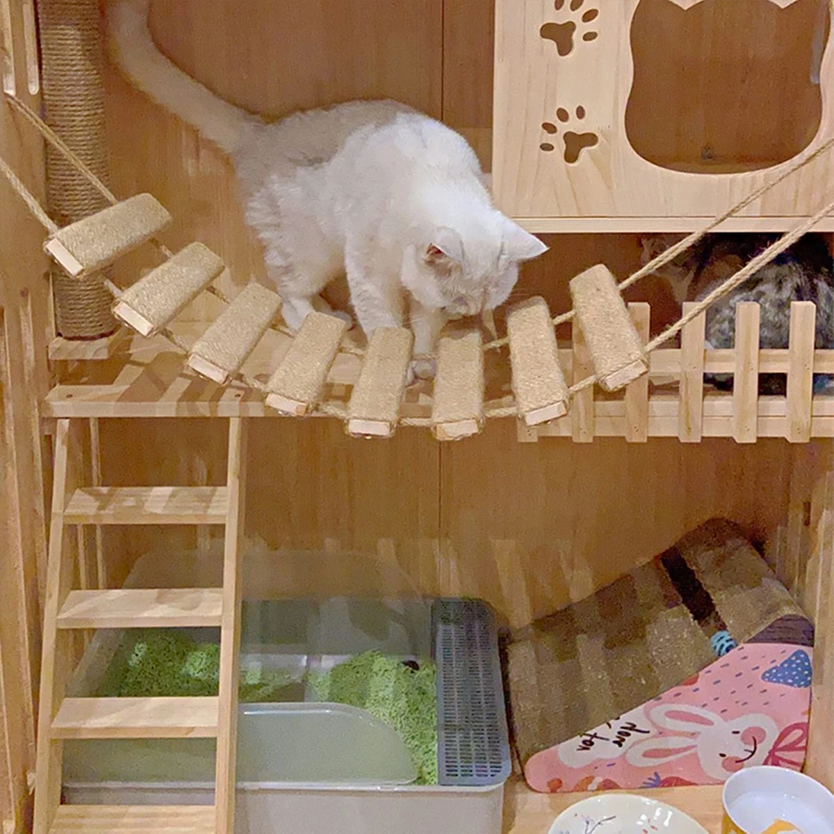 Marco de escalada para gatos, puente, escalera para gatos, cuerda de Sisal, torre de árbol de madera para gatos, uso para jaula, escalador, poste rascador, muebles para mascotas, Juguetes - imagen 4