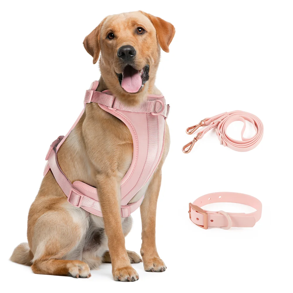 Correa doble para perro rosa claro, cómodo arnés para perro de PVC, correa ajustable para el pecho, conjunto de tres piezas, collares, arneses y correas - imagen 2