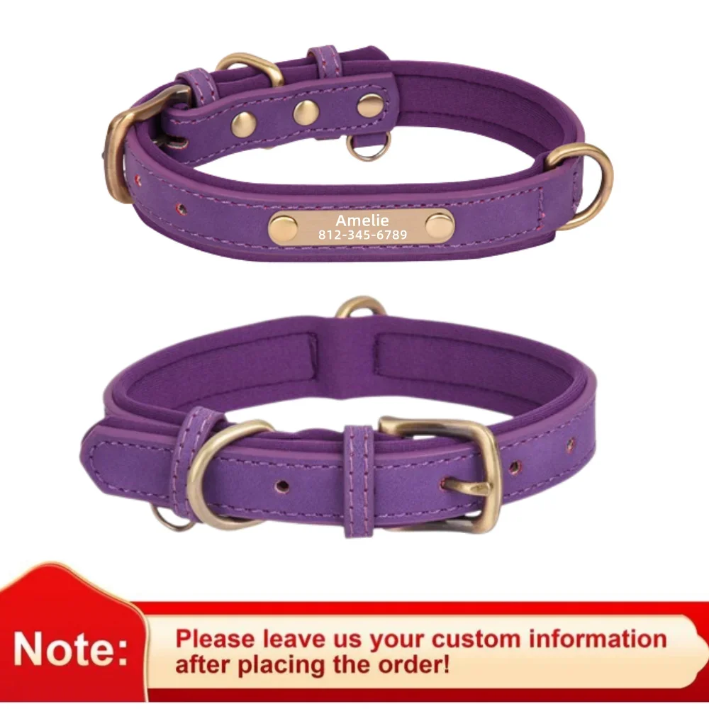Purple Collar