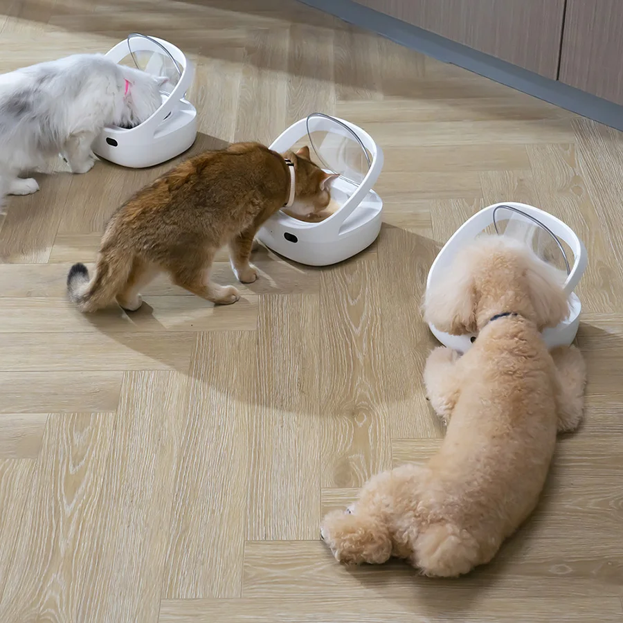 Alimentador inteligente, Sensor de reconocimiento de chips de repuesto antiarañazos, alimentador automático, dispensador de alimentos para perros y gatos, evita robar alimentos - imagen 4