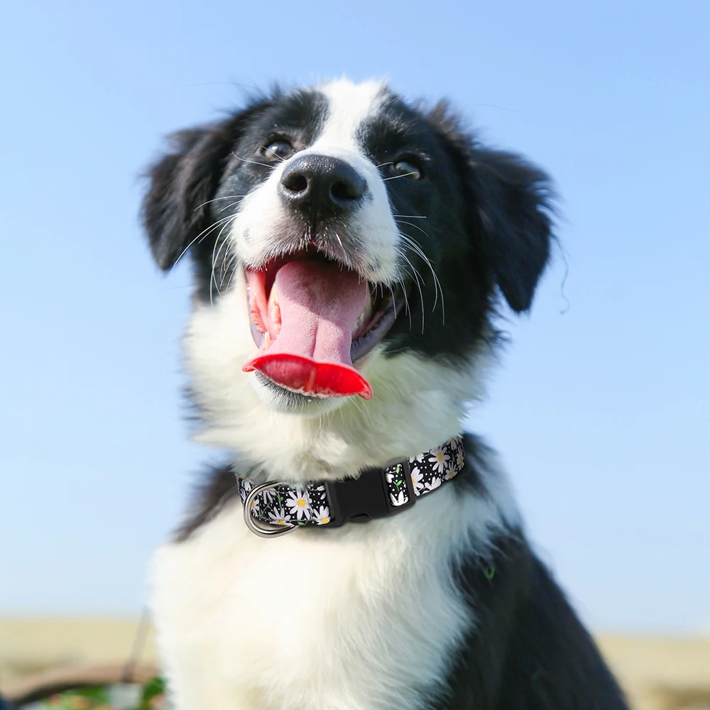 Collar de nailon para perro, collares para perro con estampado bonito, Collar para cachorro de mascota para primavera y verano, ajustable para perros pequeños, medianos y grandes, Chihuahua Pug - imagen 5