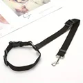 Black Leashes