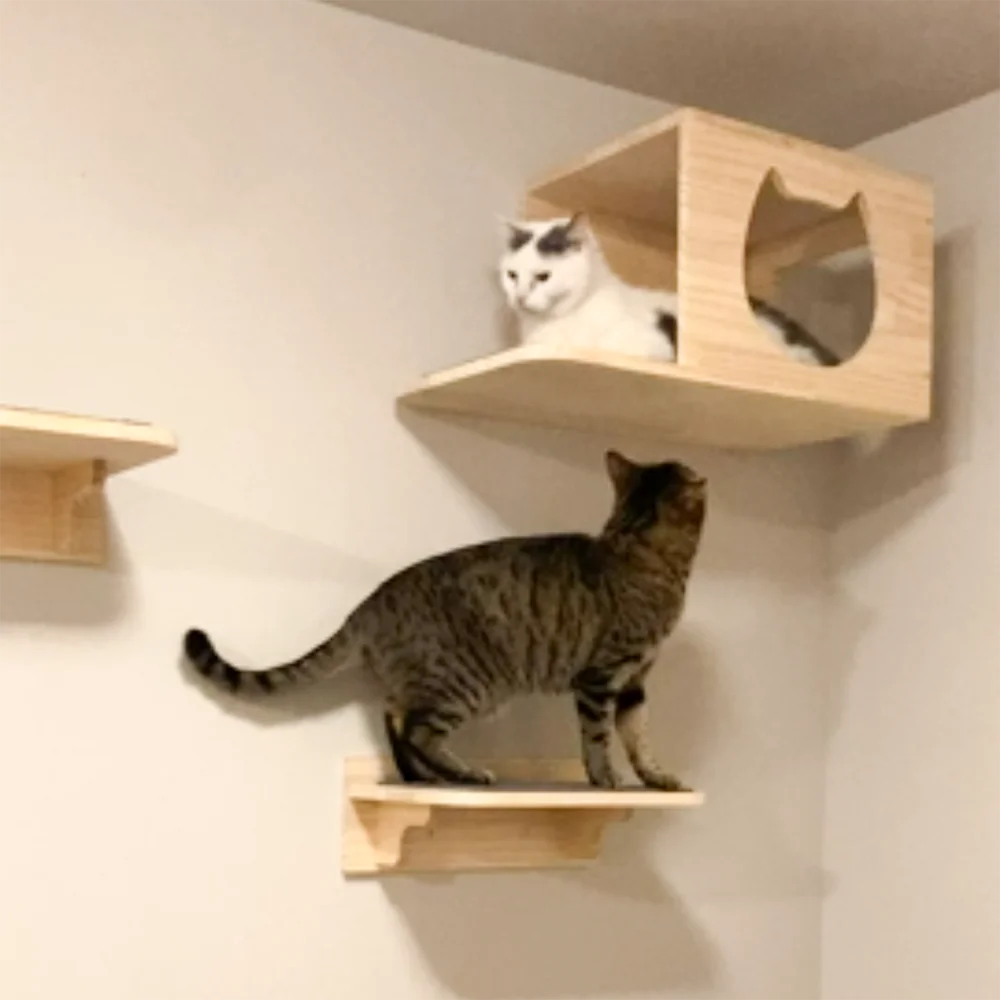 Muebles de madera montados en la pared para casa de gatos, estantes rascadores, escalera de escalada, percha, puente para gatos y plataforma de salto para juego de gatitos - imagen 3