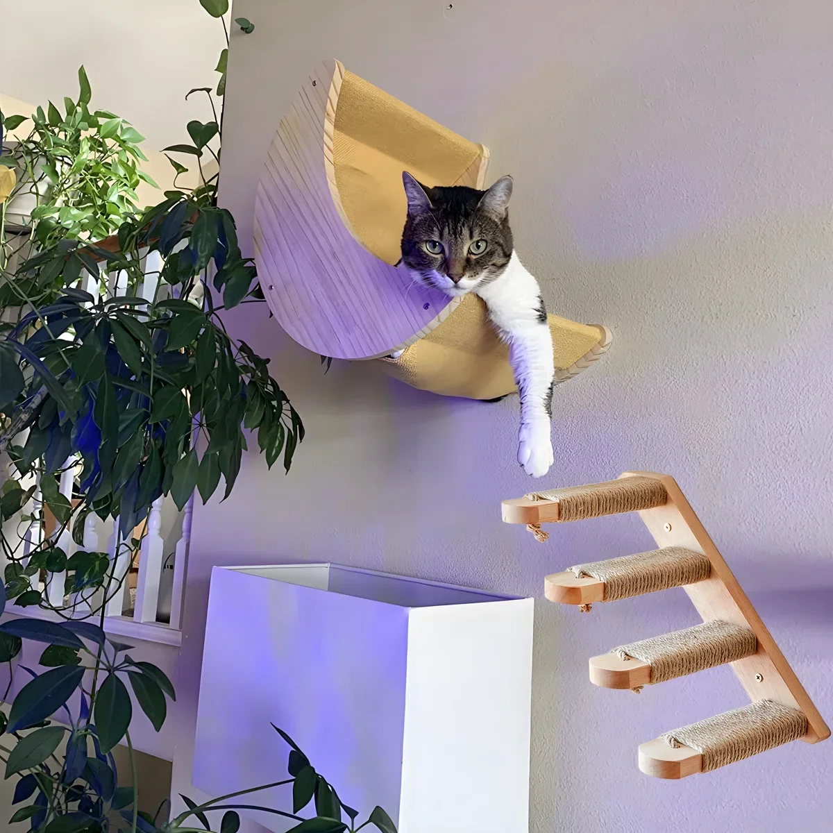 Árbol minimalista de pared para gatos, parque aéreo integrado en casa - imagen 4