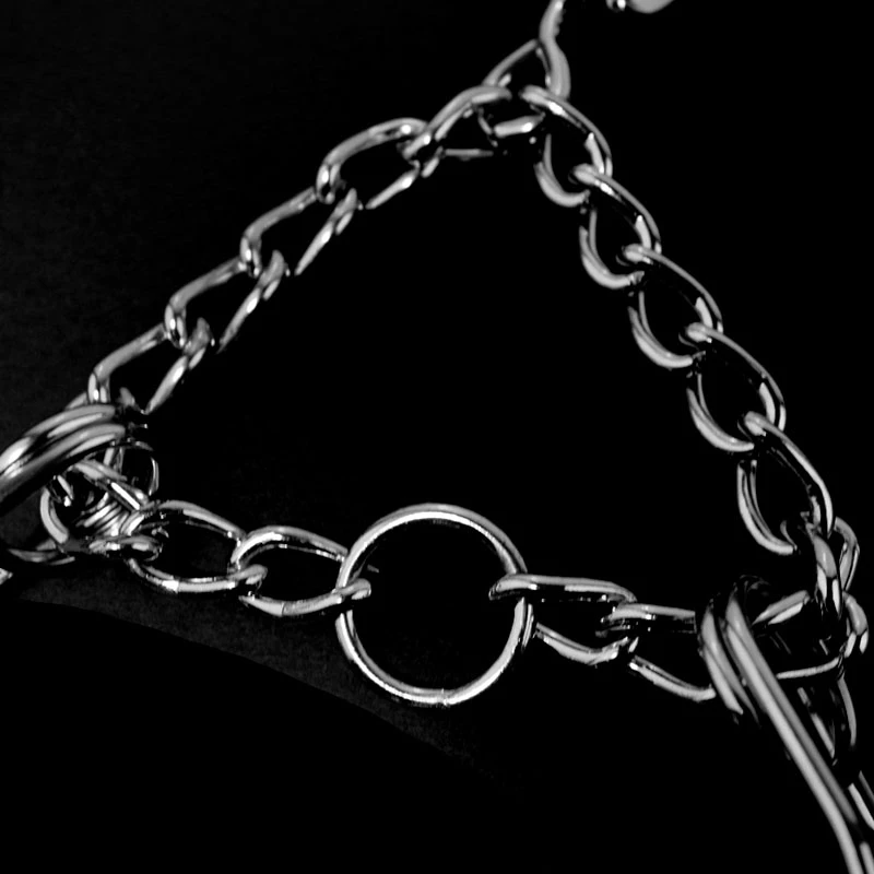 Suministros para perros Collares de acero inoxidable para entrenamiento de perros, cadena de estímulo grande, productos para mascotas resistentes al desgaste, sin sombrero - imagen 4