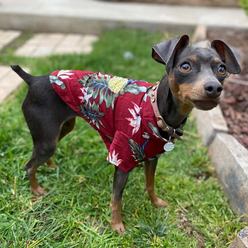 Ropa de verano para perro y gato, camisa de manga corta con estampado de árbol de coco, Estilo Hawaiano, a la moda, regalo para mascotas, 2023 - imagen 4