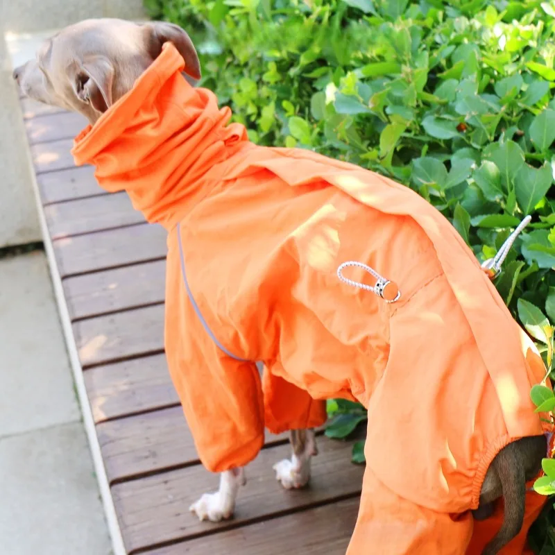 Impermeable para galgos y whippets cuello alto cremallera ajustable - imagen 3