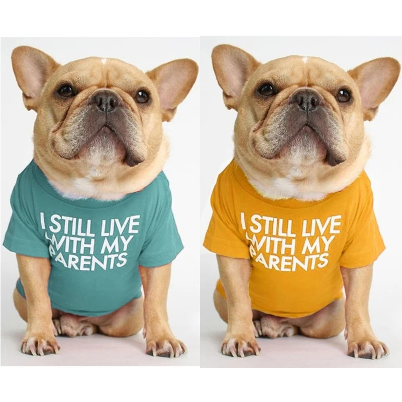 Camiseta con estampado de letras para perro, ropa para perros pequeños y medianos, Bulldog Francés, Bulldog inglés, primavera, verano - imagen 4