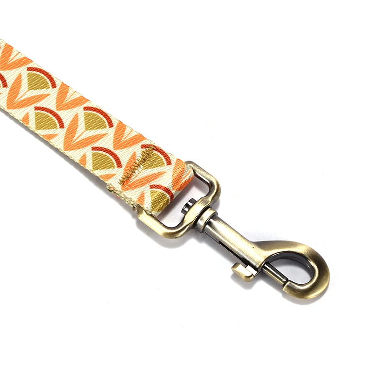 PLATTCO, correa para perro con patrón de moda, correa de nailon estampada para mascotas, cuerda para perros pequeños y medianos, correas suaves para caminar para mascotas PDL352 - imagen 3