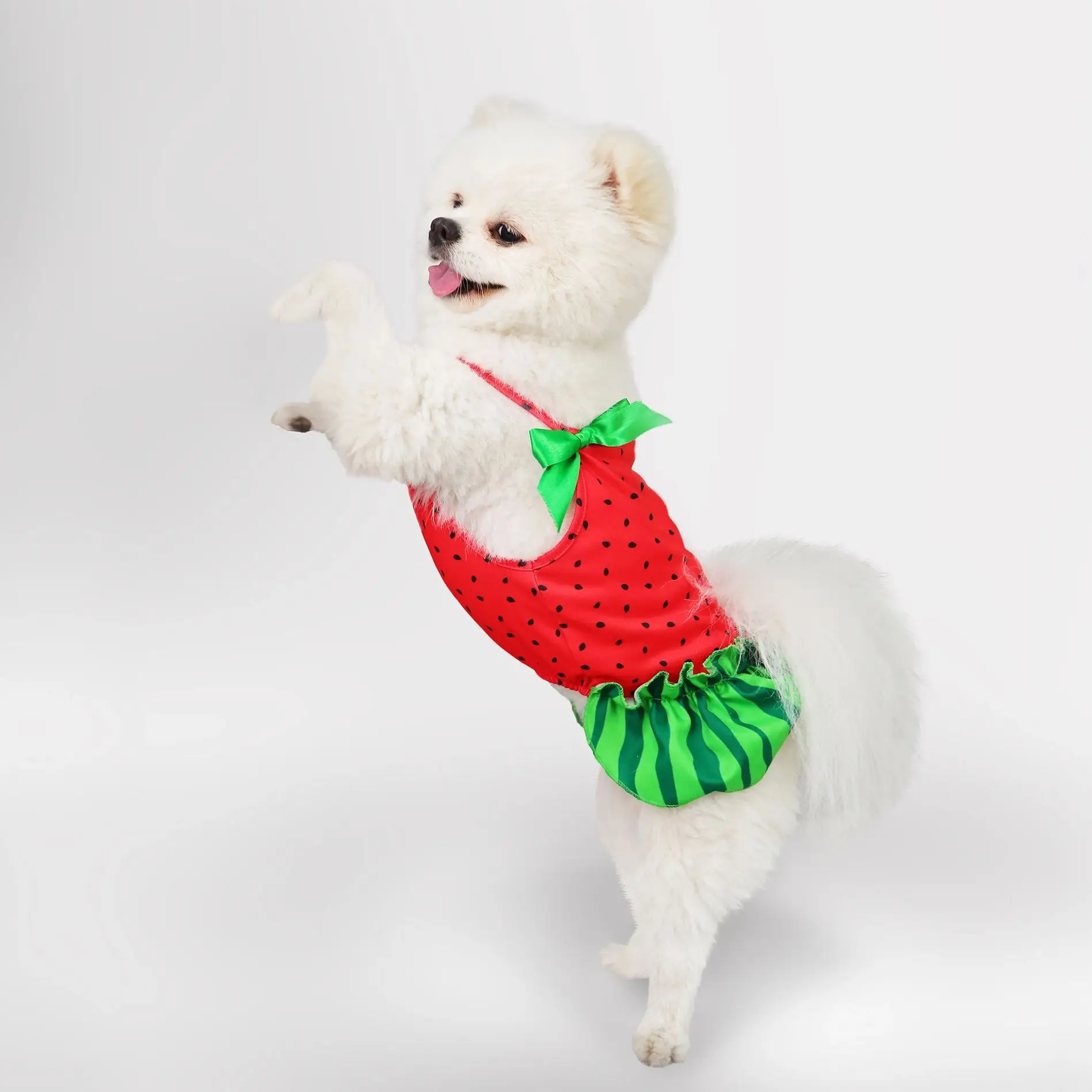Vestido para perro con lazo, ropa de verano, falda bonita para perros pequeños, tirantes, patrón de sandía, ropa para mascotas, vestidos para cachorros, disfraces para gatos - imagen 2