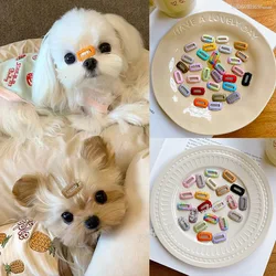 Pinzas con clips de peluquería para perros Yorkshire y Maltés