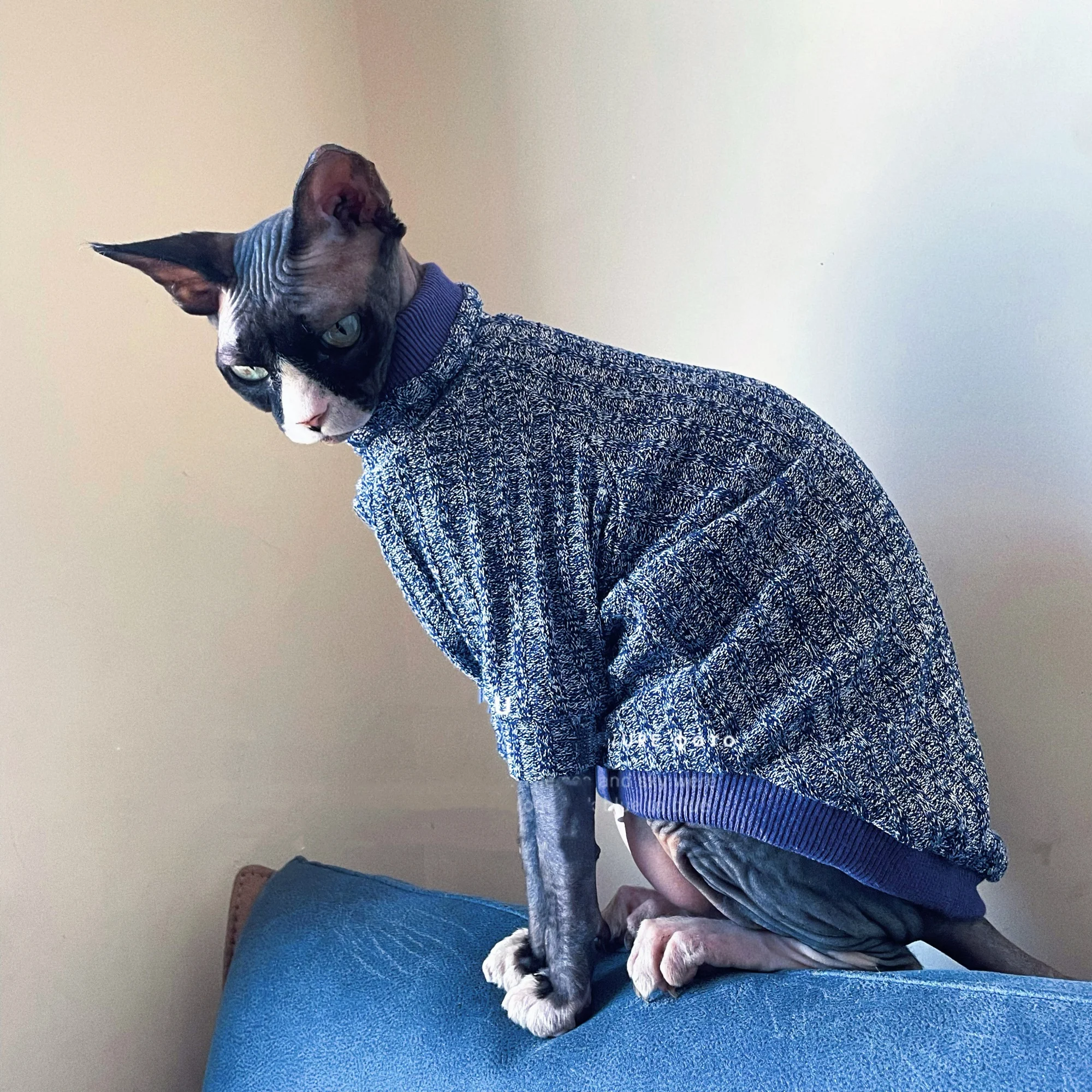 Suéter de cuello alto para gato sin pelo en invierno, ropa cálida de manga larga tejida a mano para gato Sphynx, abrigo azul de otoño para gatitos