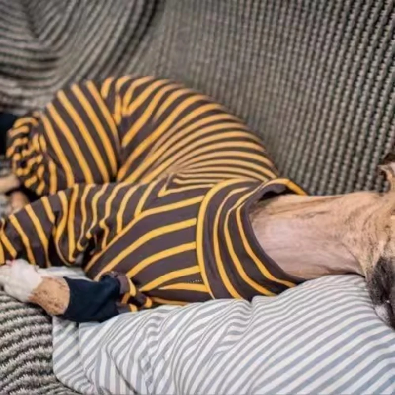 Ropa para perros de compañía, ropa para perros grandes de otoño, disfraces de lujo para perros de Halloween, ropa de dormir, monos, accesorios, suministros de productos - imagen 3