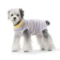 yellow purple stripe