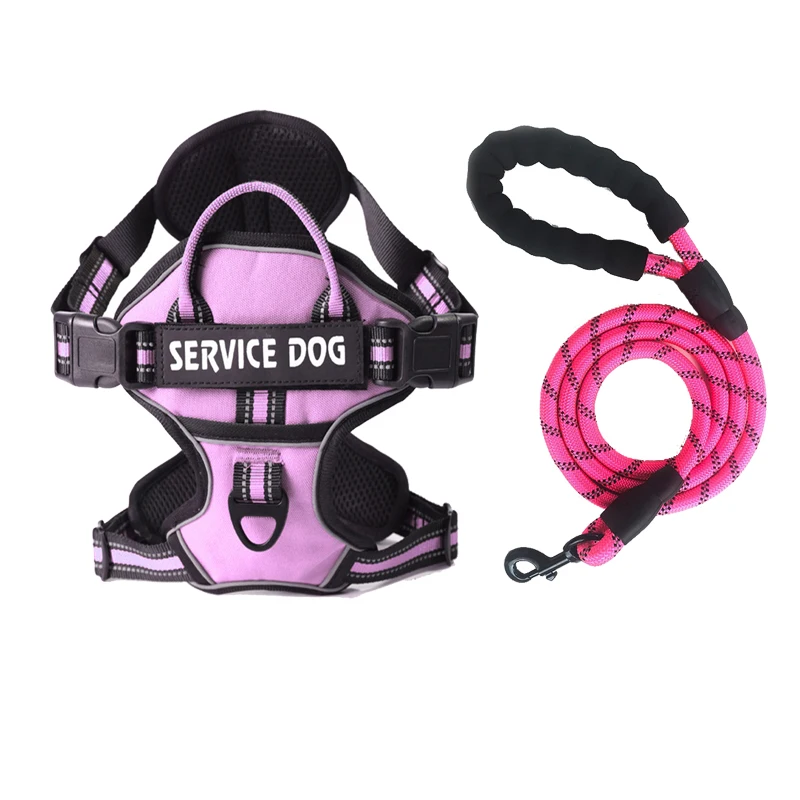 Pink Harness Set