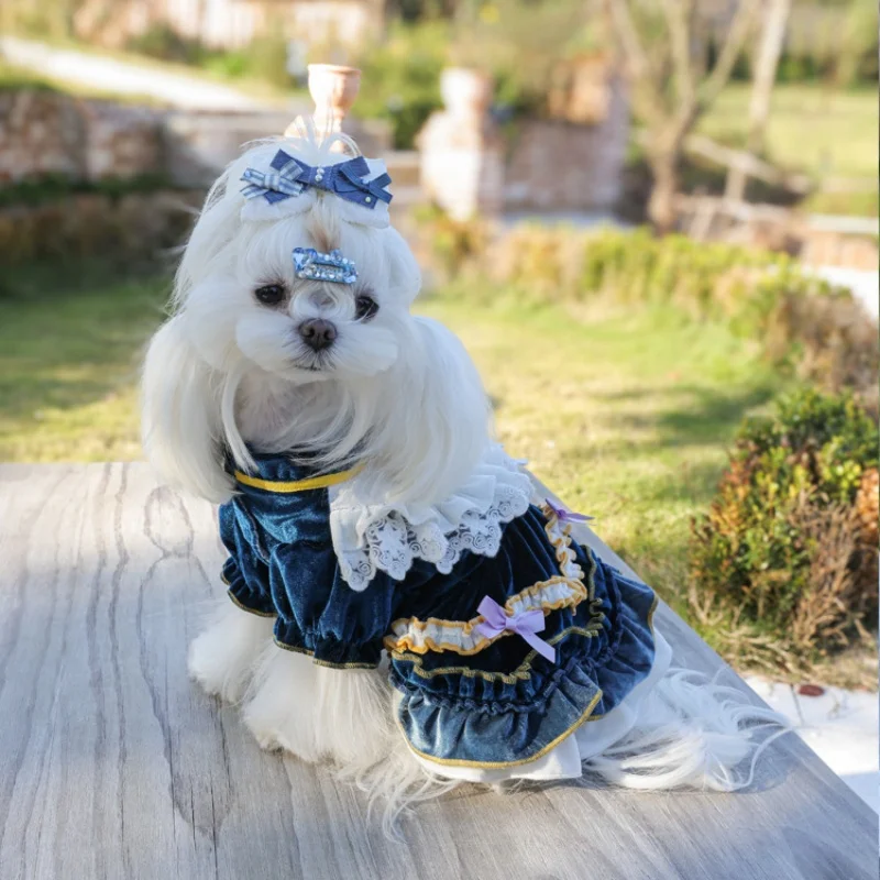 Vestido de encaje para perros, vestido formal azul para mascotas, vestido de noche para perros, vestido de fiesta de cumpleaños y vestido de vacaciones, ropa para mascotas, ropa para perros - imagen 5