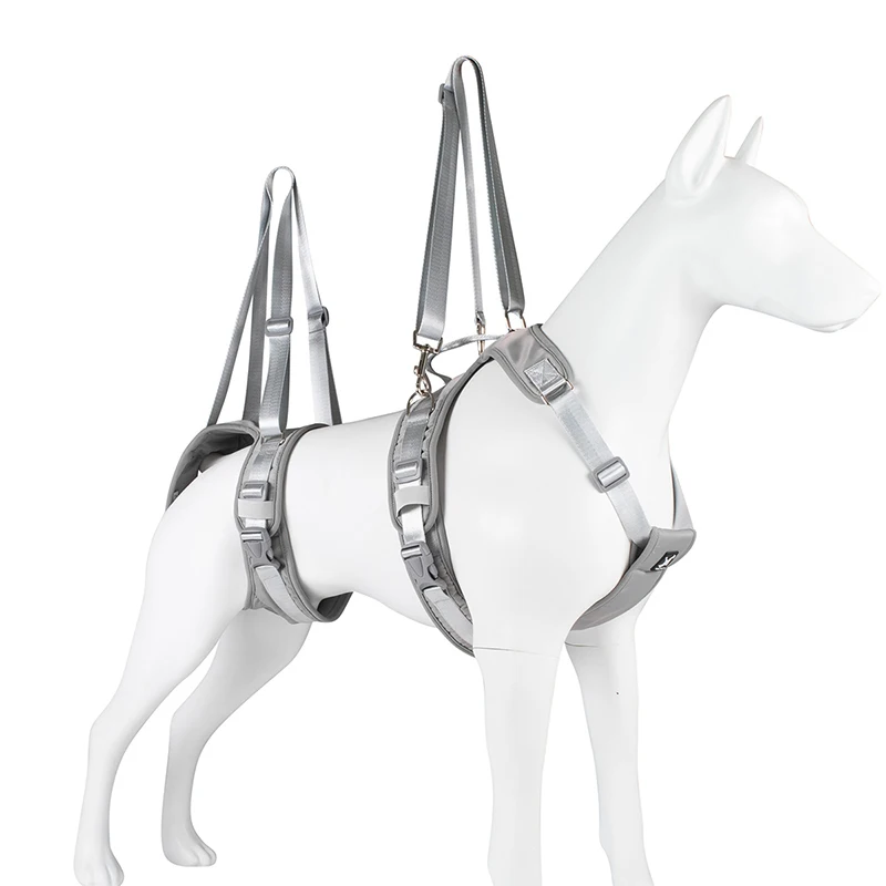 Cinturón auxiliar para discapacitados, arnés para perros, chaleco para piernas delanteras y traseras, herramienta de entrenamiento para rehabilitación de gatos mayores, ayuda a caminar, suministros para mascotas - imagen 5