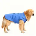 DZ154 Blue