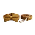 Bow Collar Leash Set