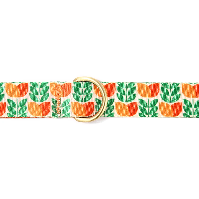 Correa de arnés para perros PLATTCO, arnés suave ajustable para perros, correa para mascotas pequeñas y medianas, correa de entrenamiento para caminar al aire libre PDL348 - imagen 3