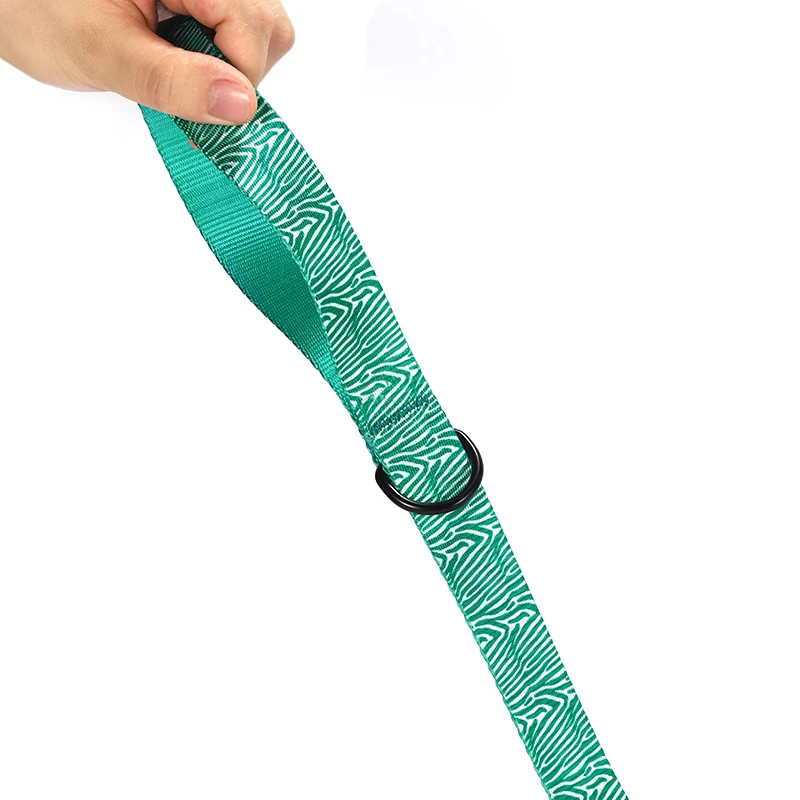 PLATTCO privado personalizado ZEBRA VERDE nylon collar para perro de mascota juego de correa ajustable perfecto para caminar todo tipo de perro 5 tamaños PDC333 - imagen 4