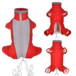 Mono impermeable para perros – Cálido y ligero, ideal para invierno