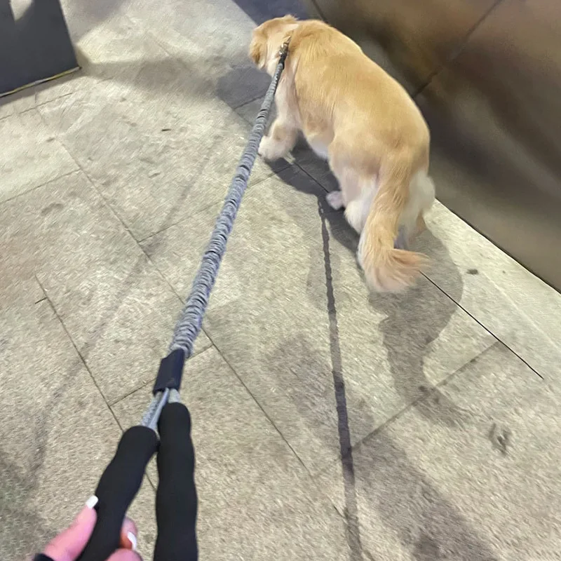 Bungee Dog Leash for Shock Absorption Heavy Duty No Pull Training Leash for Medium and Large Dogs - imagen 5