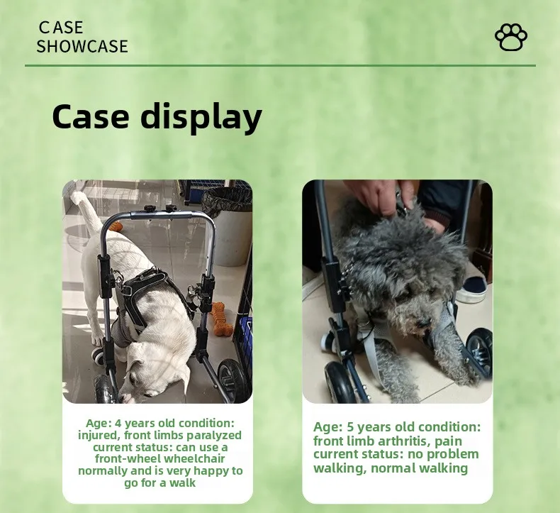 Silla de ruedas en uso con un perro pequeño