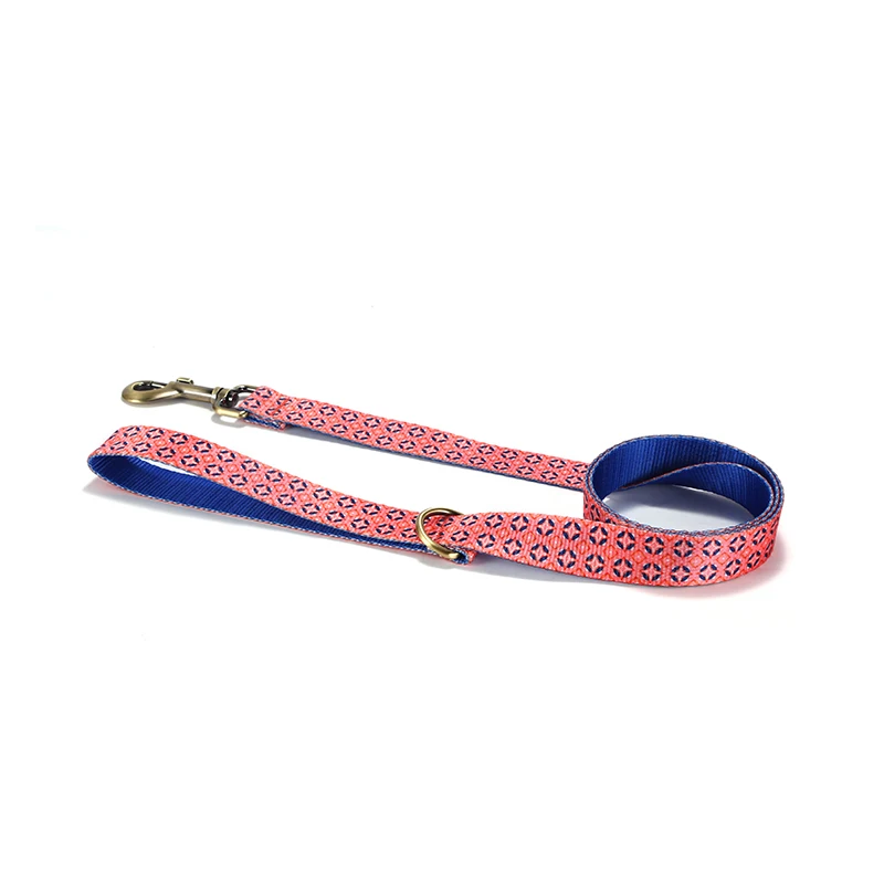 PLATTCO, correas grandes para perros, hebilla de cadena de Metal P, Color nacional, juego de Collar de cuerda de tracción para mascotas para perros grandes, 1,2 m de longitud PDL361 - imagen 2