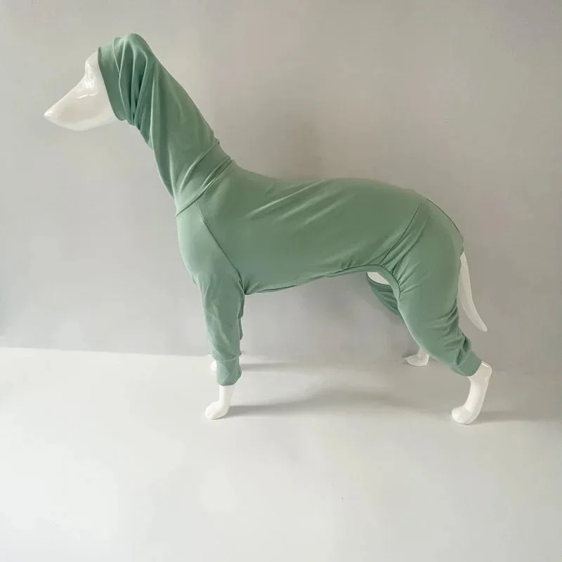 Mono de primavera de 4 patas para galgo italiano, camiseta interior de algodón suave de otoño para pijamas de cuello alto Whippet para perros Terrier - imagen 4