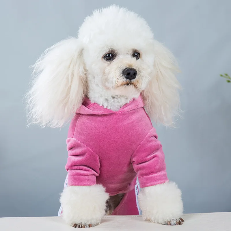 Ropa para perros pequeños y niñas, trajes bonitos, pijamas de terciopelo suave para cachorros, mono de 4 patas, chándal ligero para mascotas, ropa para gatos - imagen 2