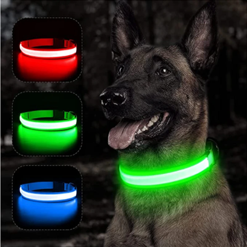 Collar de perro brillante con carga Usb, con colgante, luz Led desmontable de lujo, brillante para perros pequeños, Collar de seguridad nocturno para gatos, venta al por mayor - imagen 2