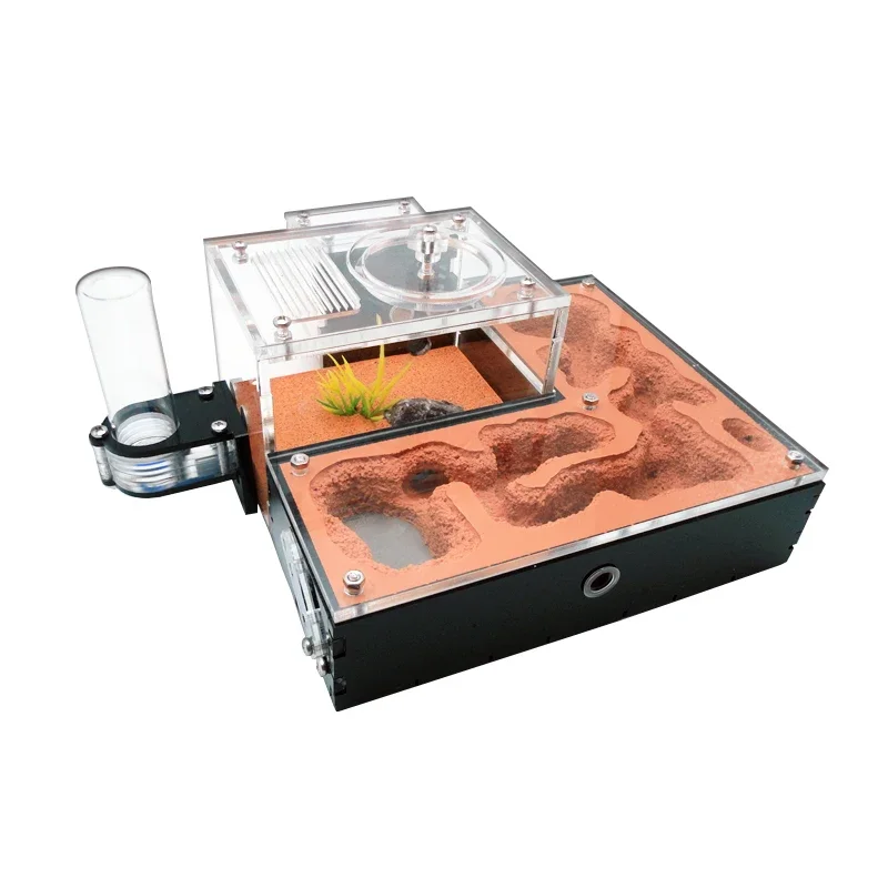 Mini CC de granja de hormigas con torre de agua externa, nido de hormigas hidratante, área de cría de reina de hormigas para mascotas, Castillo de antill, casa de hormigas, caja de insectos