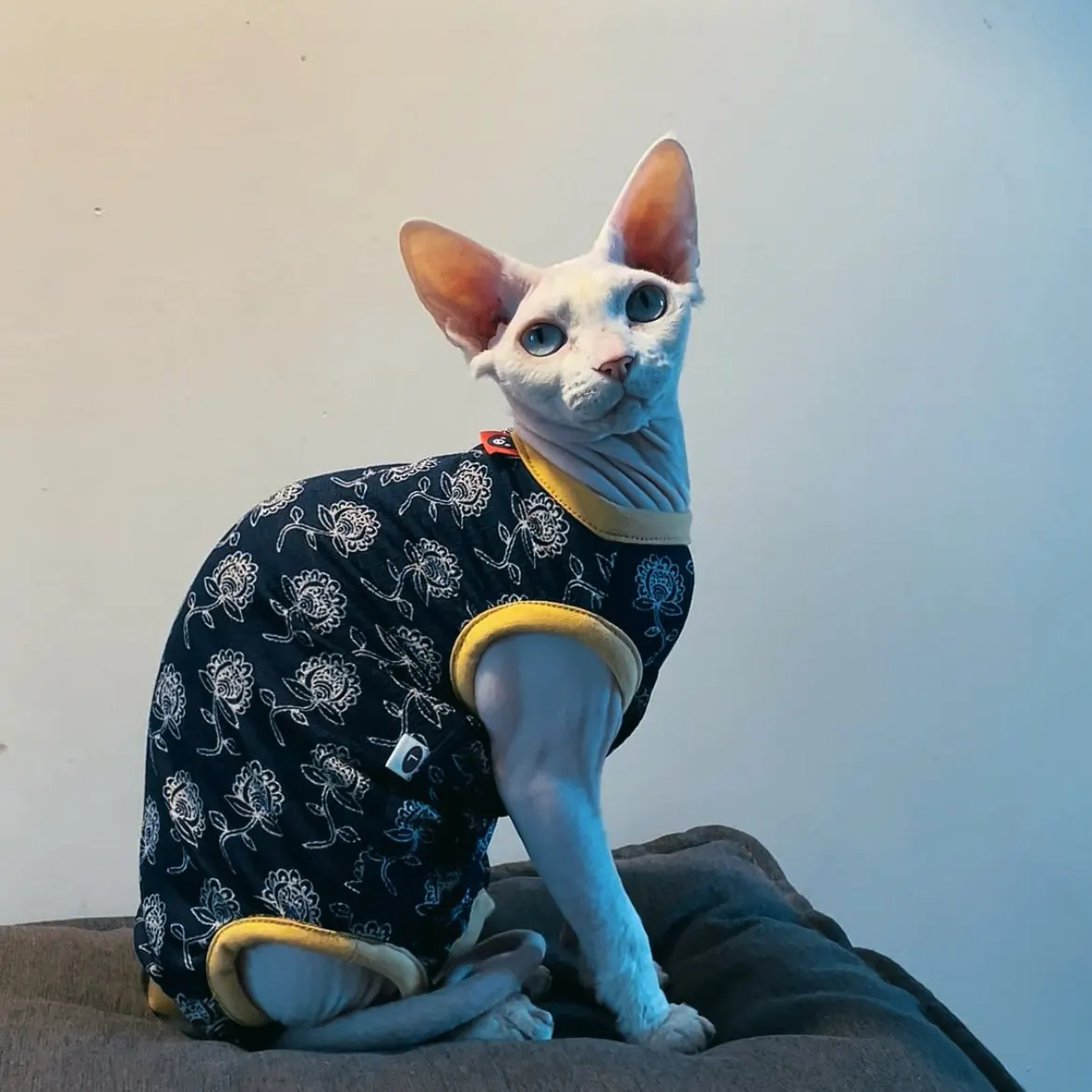 Camiseta elástica de algodón suave para Esfinge Devon Rex azul oscuro - imagen 4
