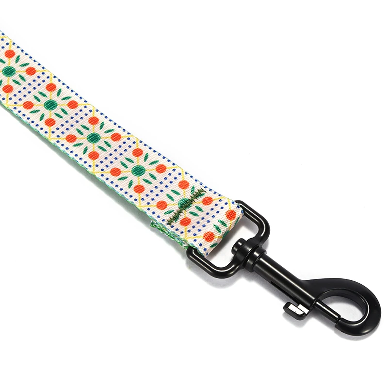 PLATTCO juego de correa de collar de perro personalizado BISCUITS DE FRUTA personalizados para caminar accesorio para perros pequeños, medianos y grandes 5 tamaños PDC331 - imagen 4