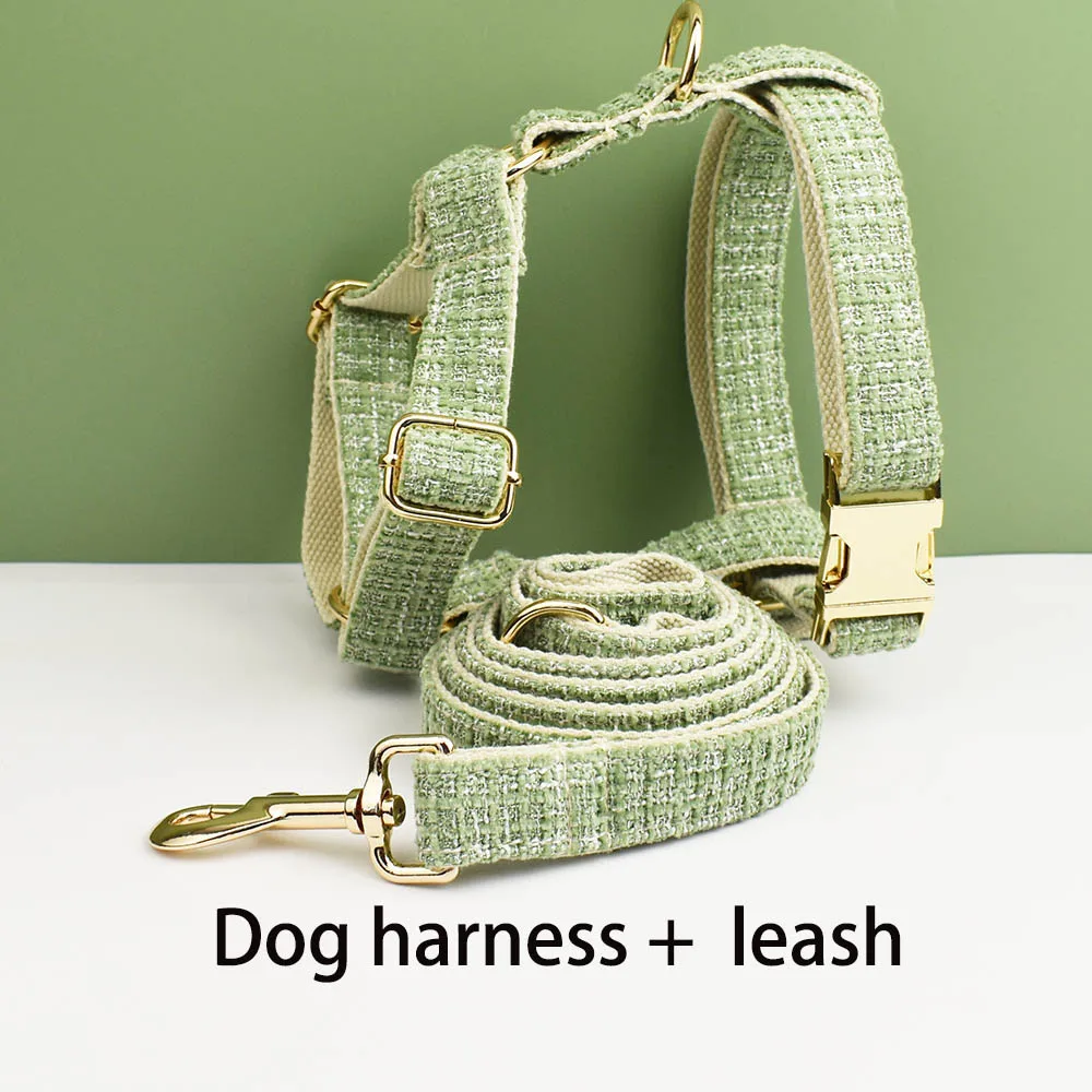 Harness leash