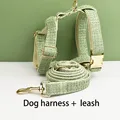 Harness leash