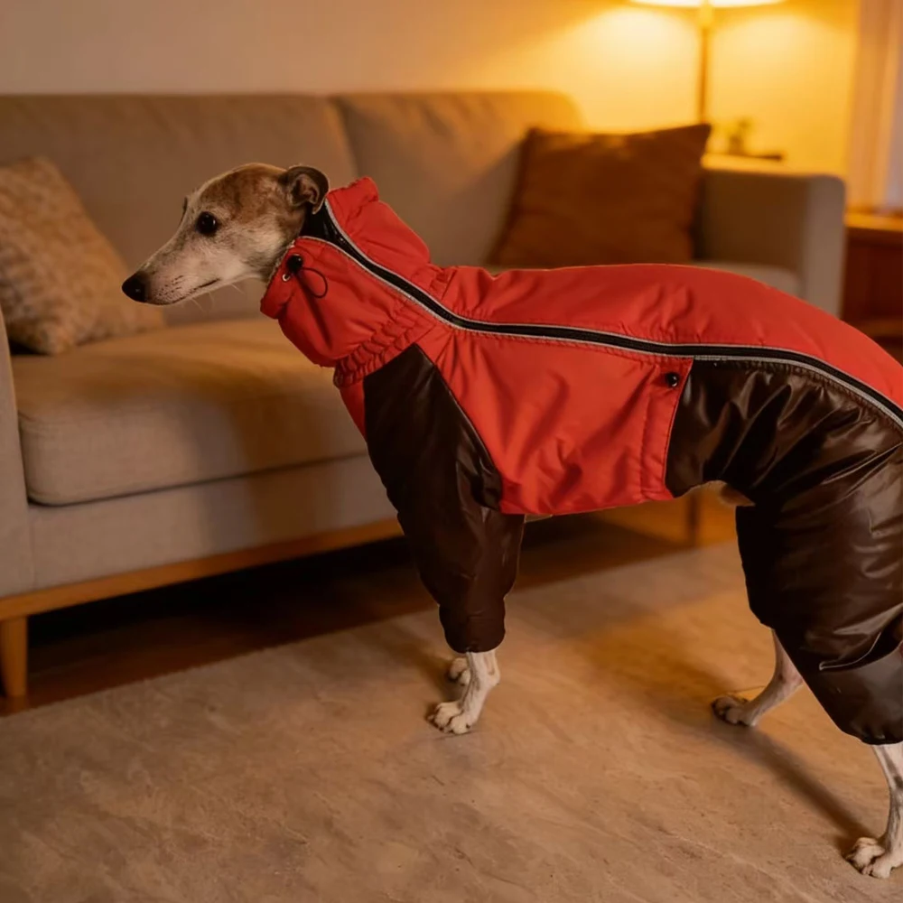 Chaqueta invierno cuello alto para galgo italiano, whippet y bedlington - imagen 2